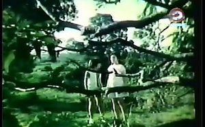 Darna increased by the Giants (1973)