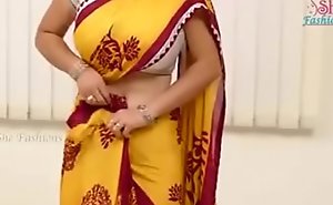 Saree aunty magnificent boobs