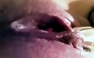 Pussy Clamber Compilation