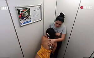 Martinasmith Grasp in a catch Elevator having Public Intercourse